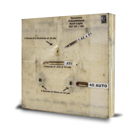 A panel showing bullet impacts from a 9mm, .22 LR, and .45 Auto firearms, labeled with the corresponding ammunition types and impact details.